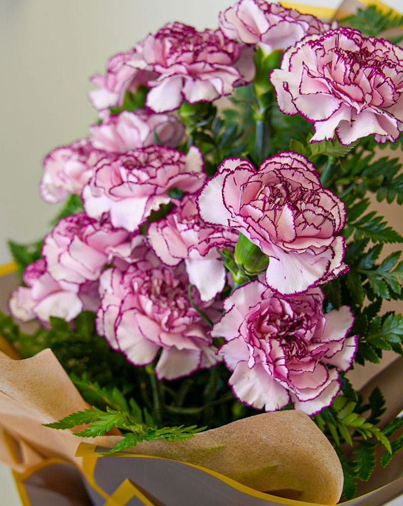 Luxury Carnation Bouquet | Same Day Flower Delivery
