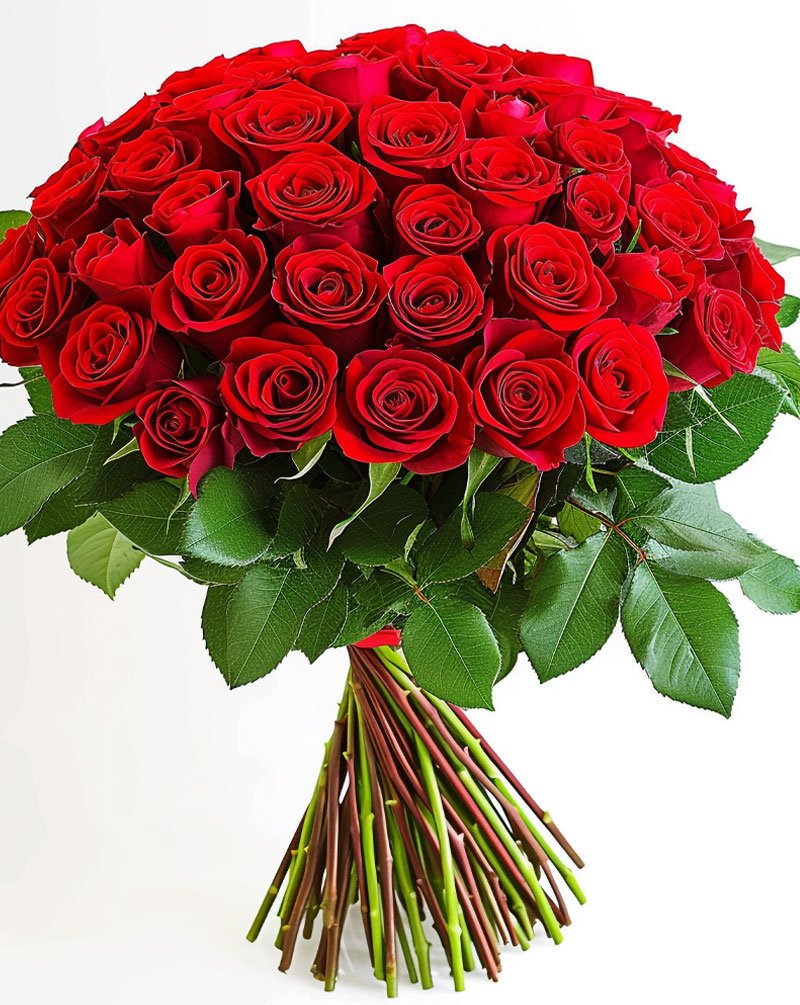 Fresh Flowers- 50 Red Roses- Lovely Gift