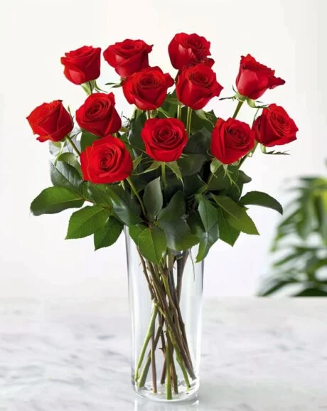 12 Premium Red Roses In A Vase