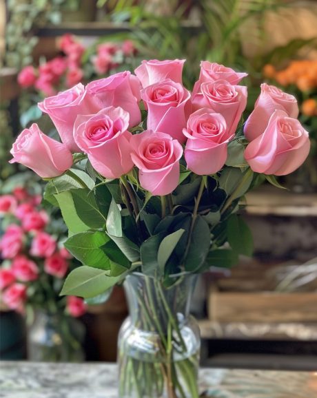 12 premium pink roses