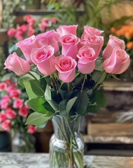 12 premium pink roses