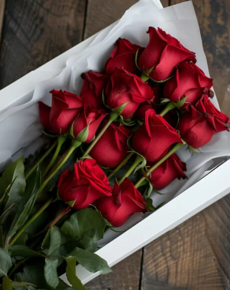 12 premium red roses in a box