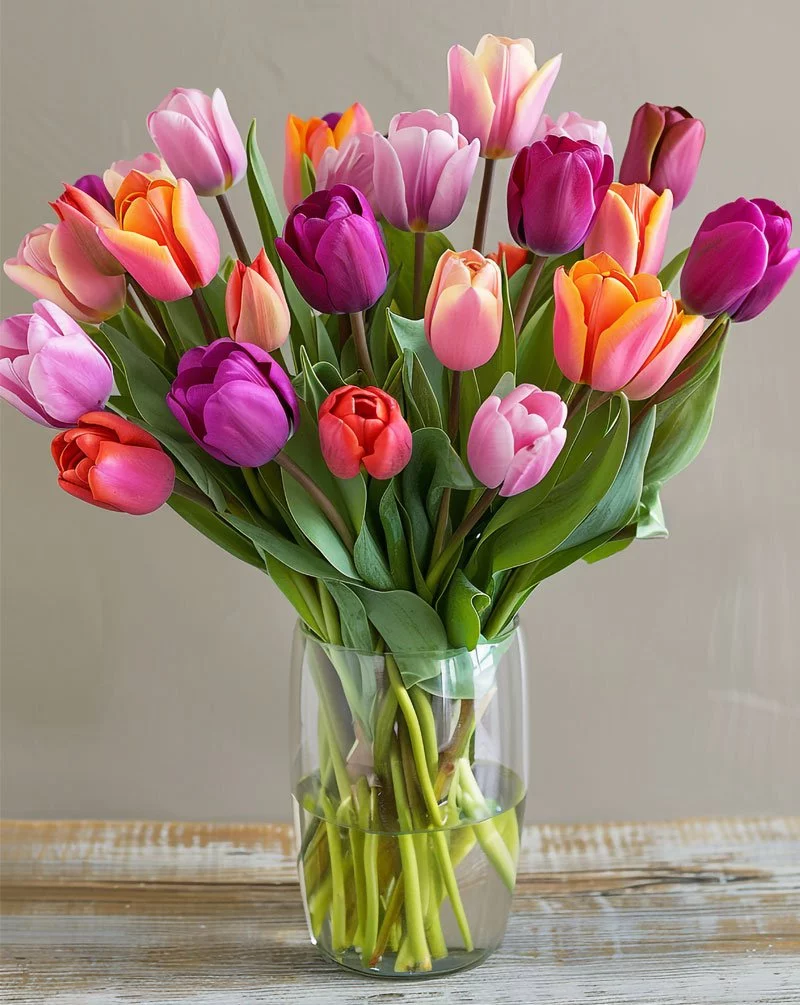 20 Mixed Color Tulip Bouquet in a Vase