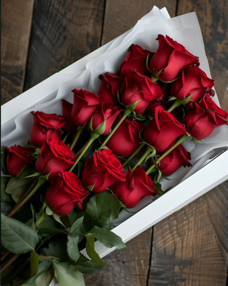 24 premium Red Roses in a Box
