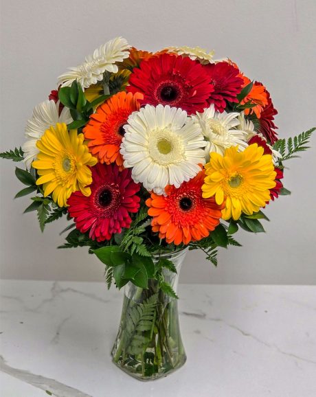 Mixed Color Gerbera Daisies In A Vase