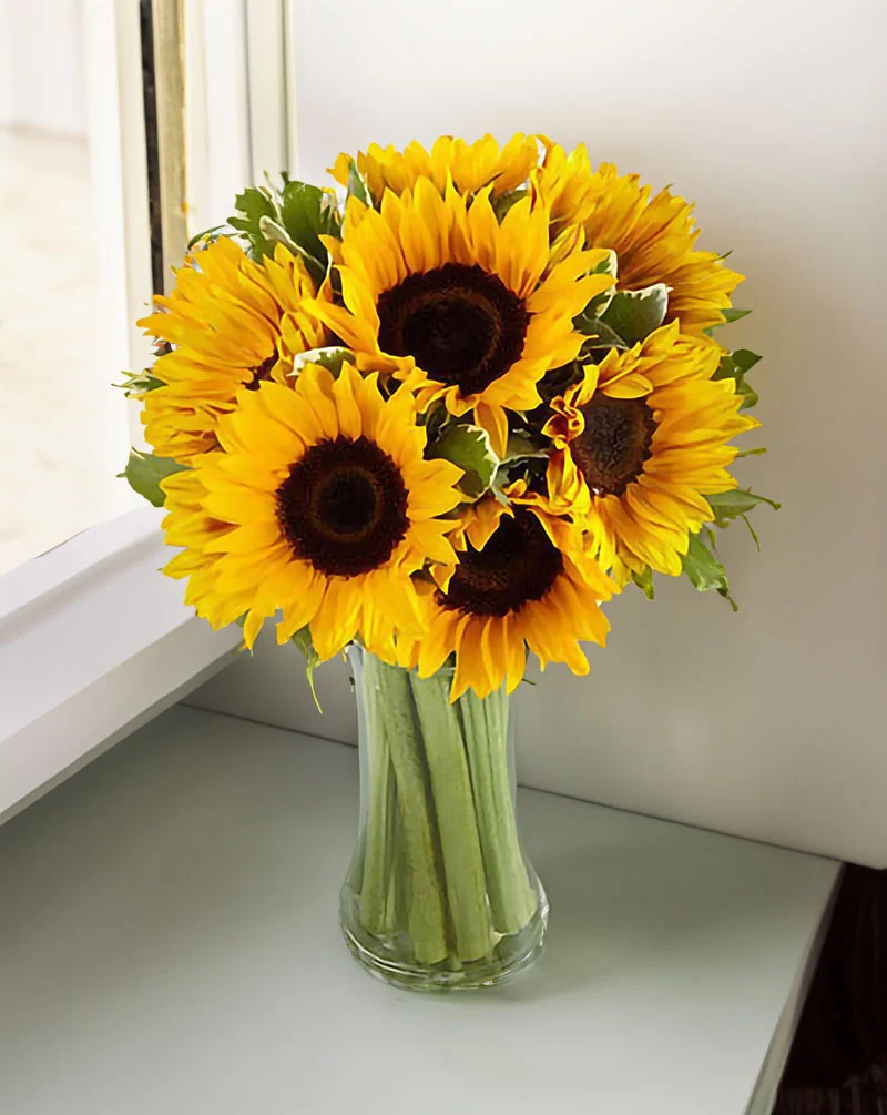 Sunflower Bouquet in a Vase