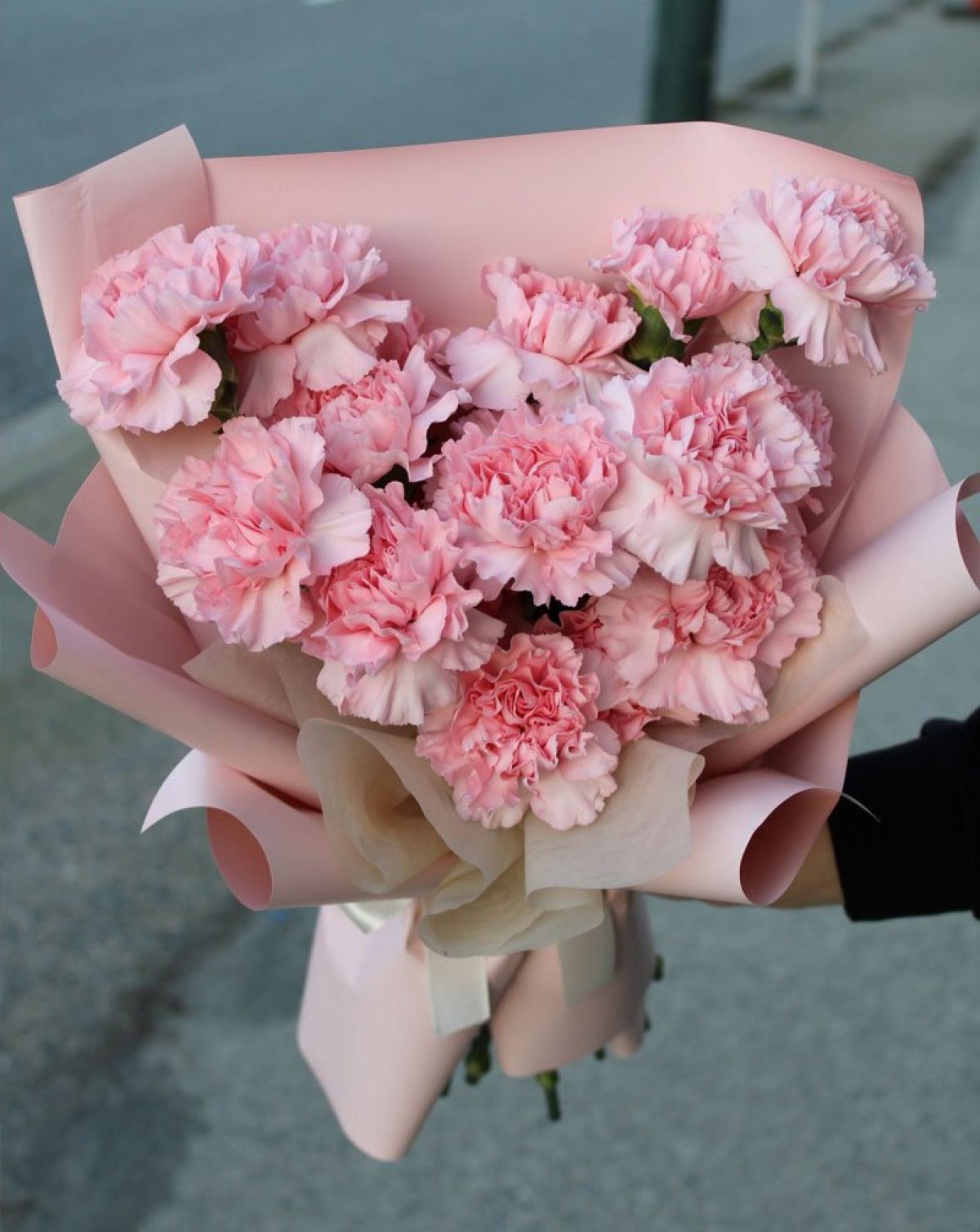 Pink carnation flowers discount