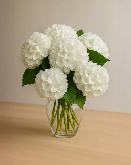 White Hydrangeas Bouquet In A Vase