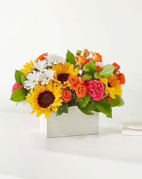 Sun kissed Blossoms Box Bouquet