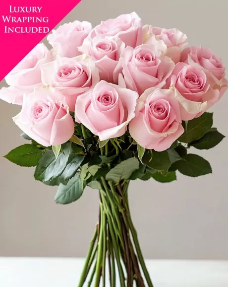 12 Premium Pink Rose Bouquet