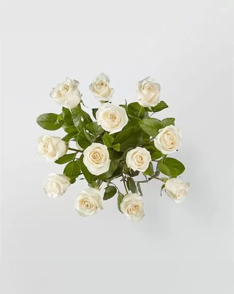 12 Premium White Roses In a Vase