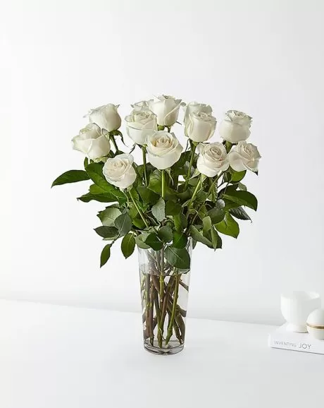 12 Premium White Roses In a Vase