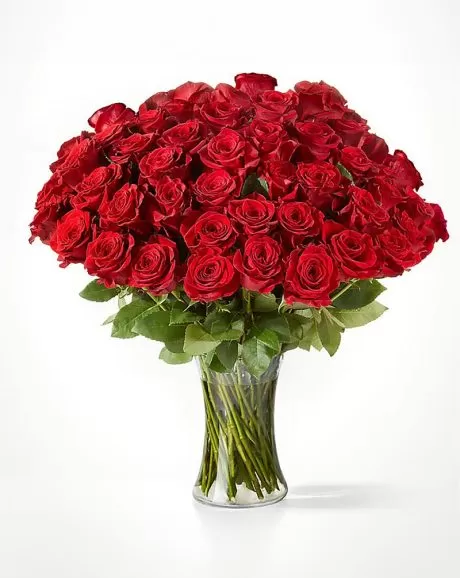 50 Premium Red Roses in Vase