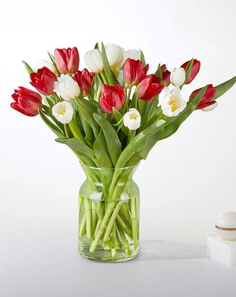 30 Stems Splendor Tulips