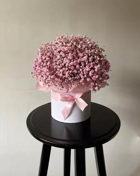 Pink Baby's Breath Flower Box