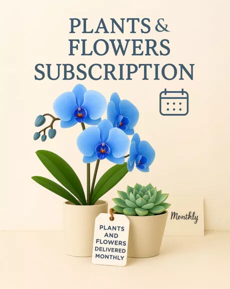 Plants and Flowers Subscription