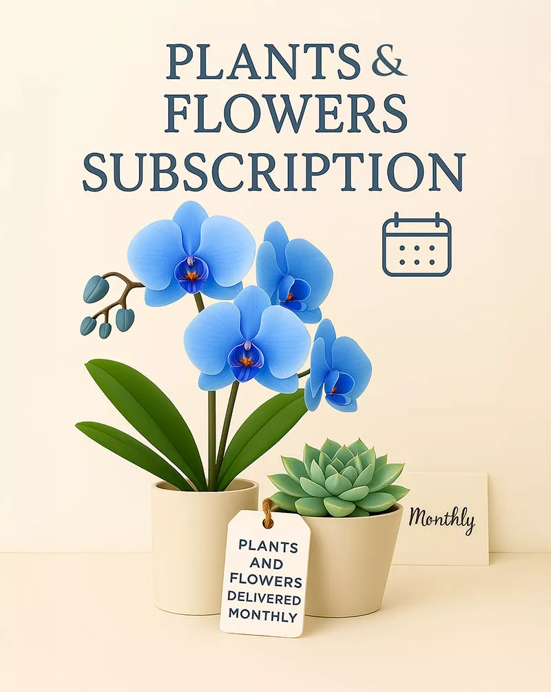 Plants and Flowers Subscription