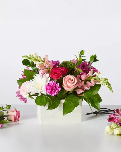 Sweet Lavender Bloom Box