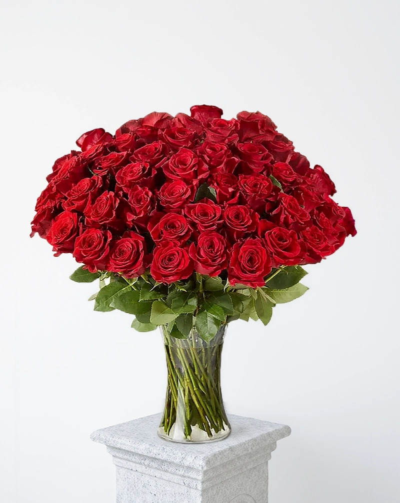 50 Premium Red Roses in Vase