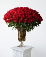 100 Premium Red Roses in a Vase
