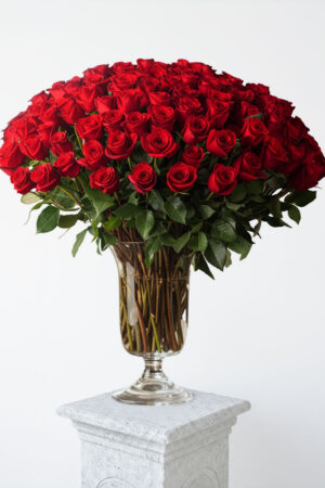 100 Premium Red Roses in a Vase