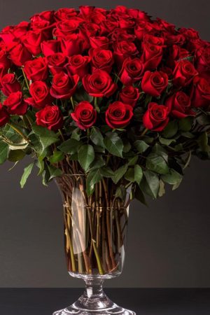 100 Premium Red Roses in a Vase