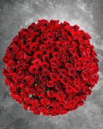 100 Premium Red Roses in a Vase