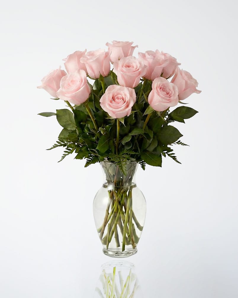 12 Premium Pink Roses In a Vase