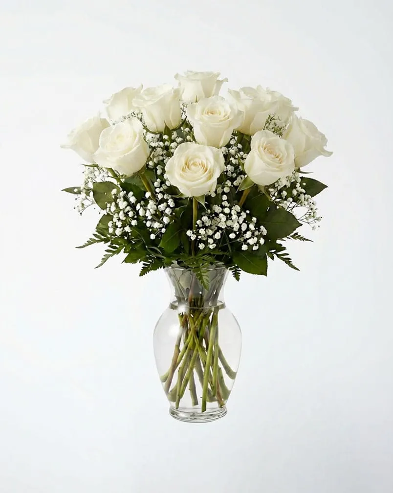 12 Premium White Roses In a Vase