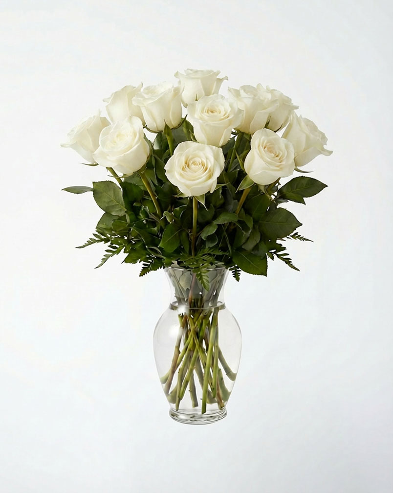 12 Premium White Roses In a Vase