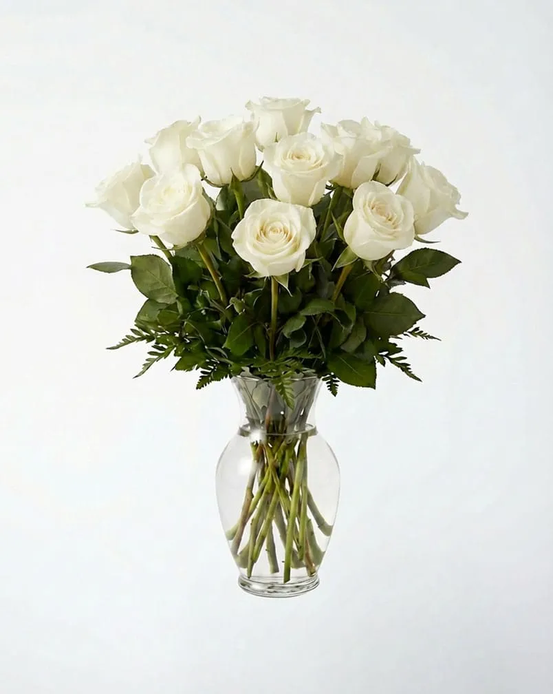 12 Premium White Roses In a Vase