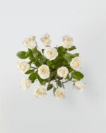 12 Premium White Roses In a Vase - Image 2