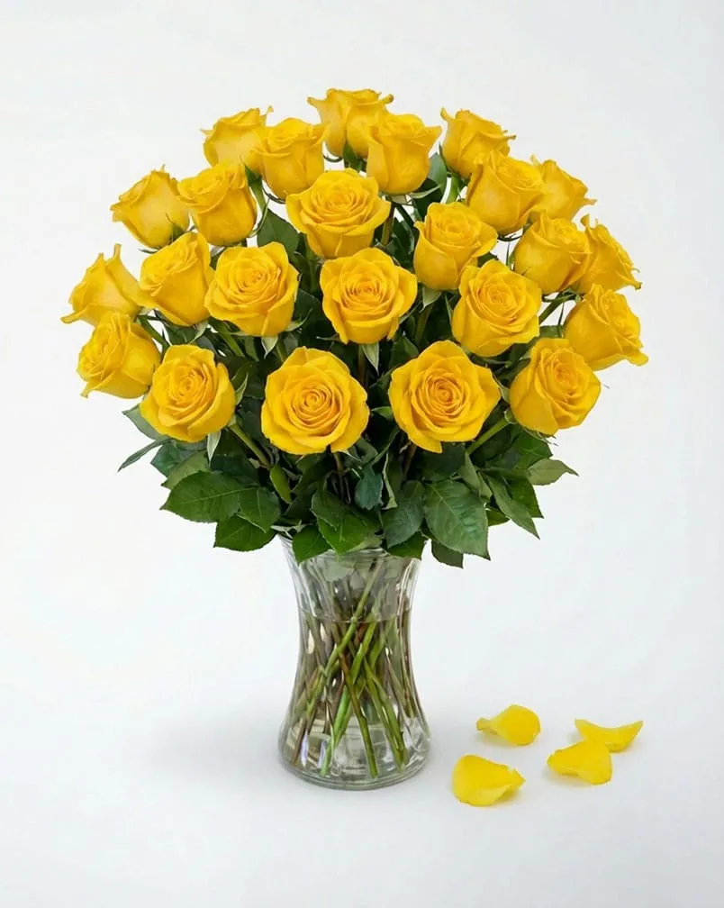 24 Yellow Roses in Vase