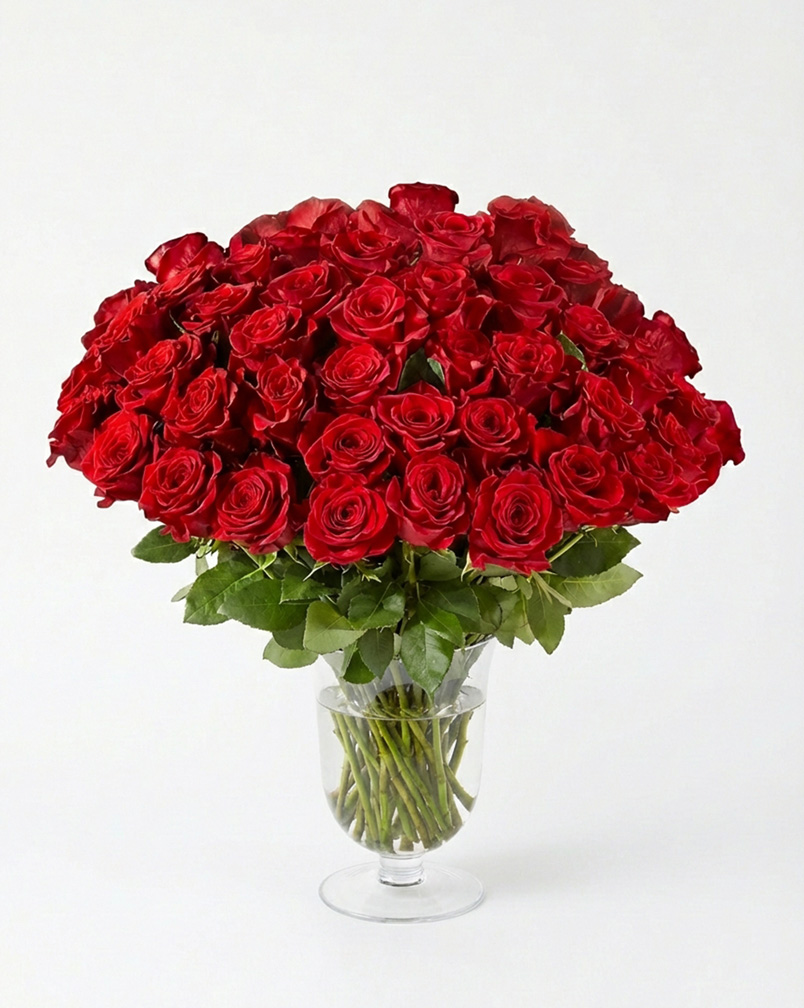50 Premium Red Roses in Vase