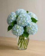 Blue Hydrangeas in a Vase