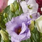 Masterpiece of Grace Basket - Image 2