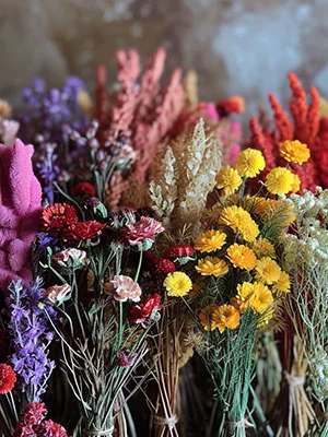 Florist's Choice
