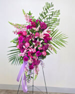 Gentle Reflections Tribute