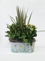 Honeybee Metal Plant