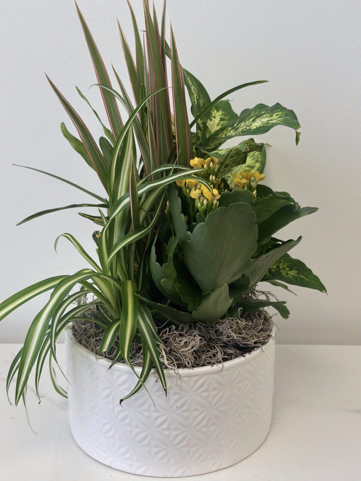 Minimalist Ceramic Plant - Image 1