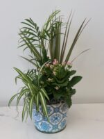 Rustic Vintage Plant