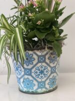 Rustic Vintage Plant - Image 2