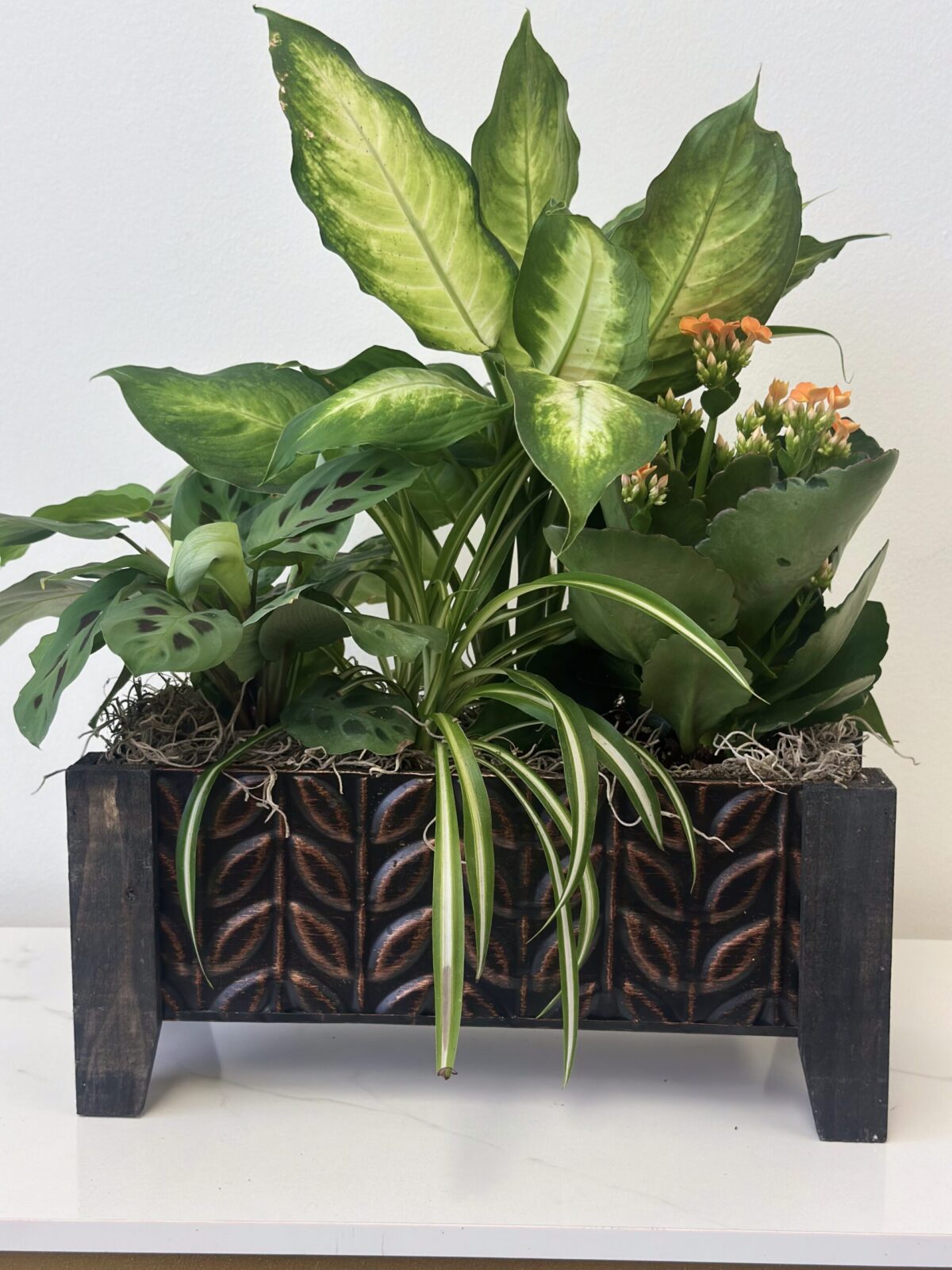 Office Buddy Wooden Plant - Image 1