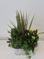 Honeybee Metal Plant - Image 3