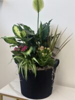Majestic Powerful Plant