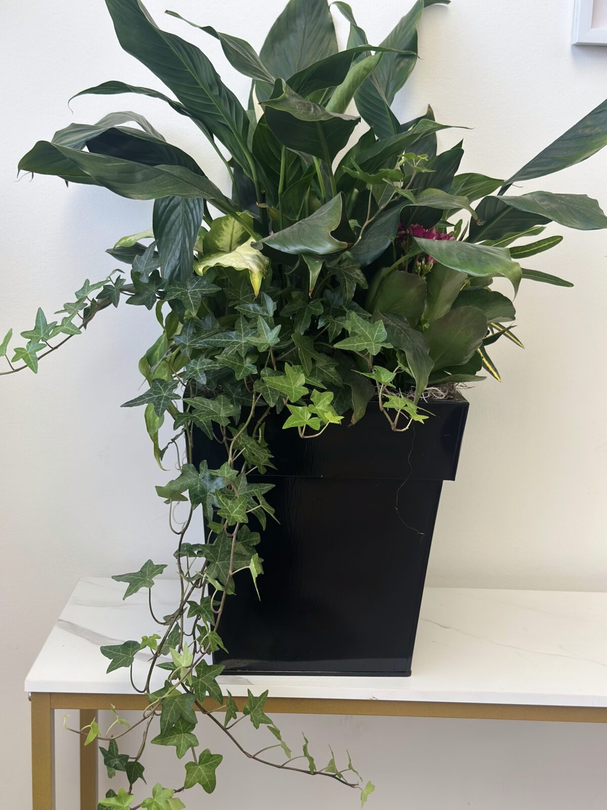 Luxury Green Plant - Image 1