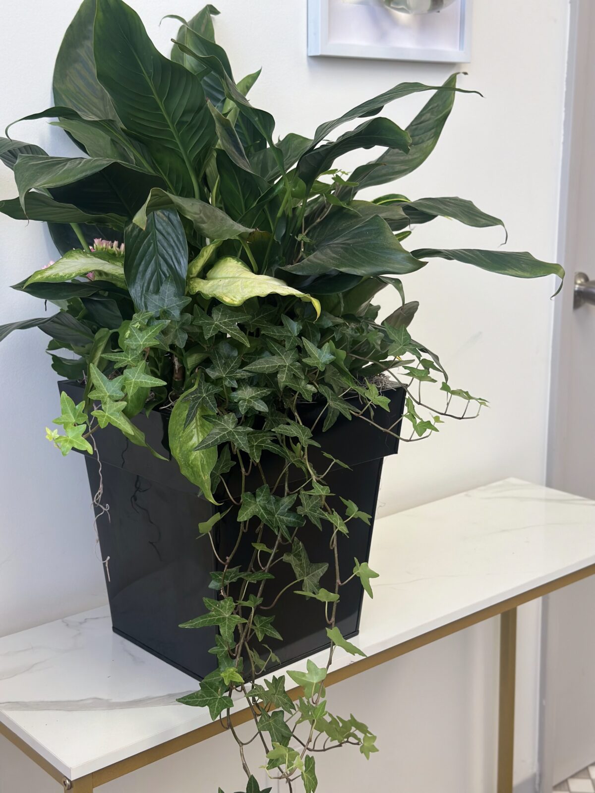 Luxury Green Plant - Image 2