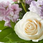 Morning Dew Vase Arrangment - Image 8