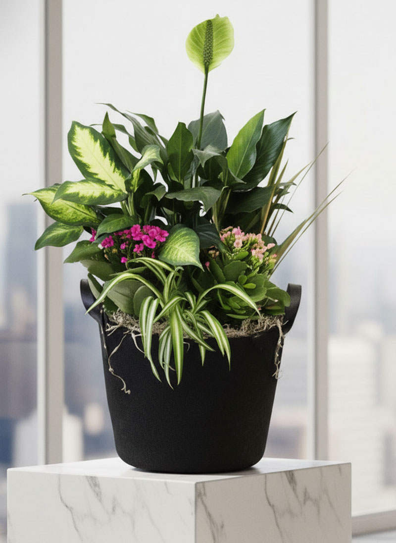 Majestic Powerful Plant