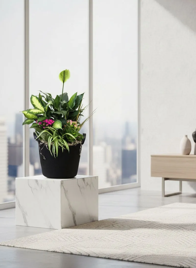 Majestic Powerful Plant